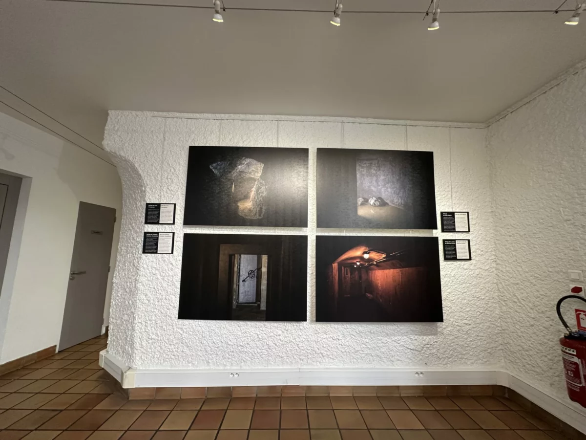Accrochage de six photographies en deux rangées sur un mur blanc.